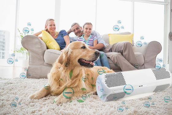 개인 곰팡이 ABS 공기 살균제 H1N1 인플루엔자 바이러스 박테리아 곰팡이 OEM / ODM