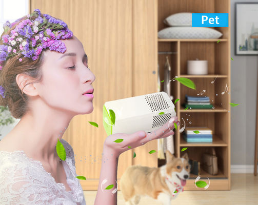 작은 방 화장실 부엌 공기 정화기 알레르기 항원 꽃가루와 냄새를 제거하는 데 완벽