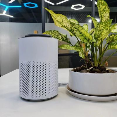 데스크톱 전기 플라즈마 순수 공기 정화기 휴대용 플라즈마 살균기 어린이 잠금