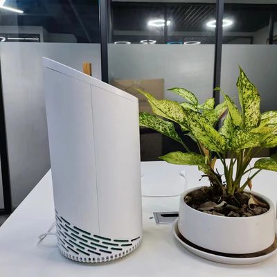 220V HEPA 반려동물 냄새 필터 냉동 플라즈마 활성화 탄소 필터 및 개인 곰팡이