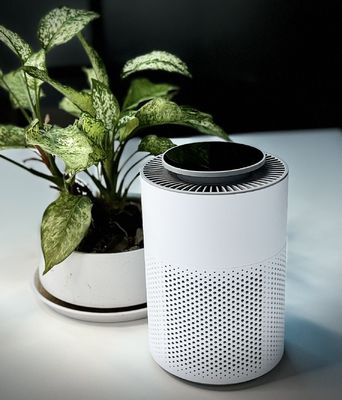 피어워크 파우더 입자를 제거하기 위한 터치 컨트롤이 있는 HEPA 장비 플라즈마 공기 살균기