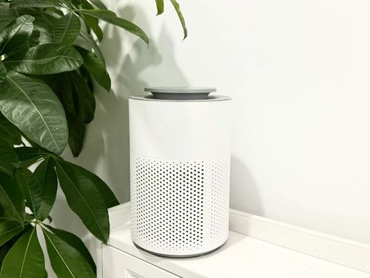 HC10 소음 작동 및 낮은 전력 소모를 가진 담배 연기를 위한 휴대용 공기 정화기