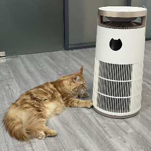 VDETTE HP01 오존 HEPA 공기 청정기 타이머 220V 화이트