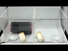 AS03 플라즈마 공기 살균기_빵 보존 시험